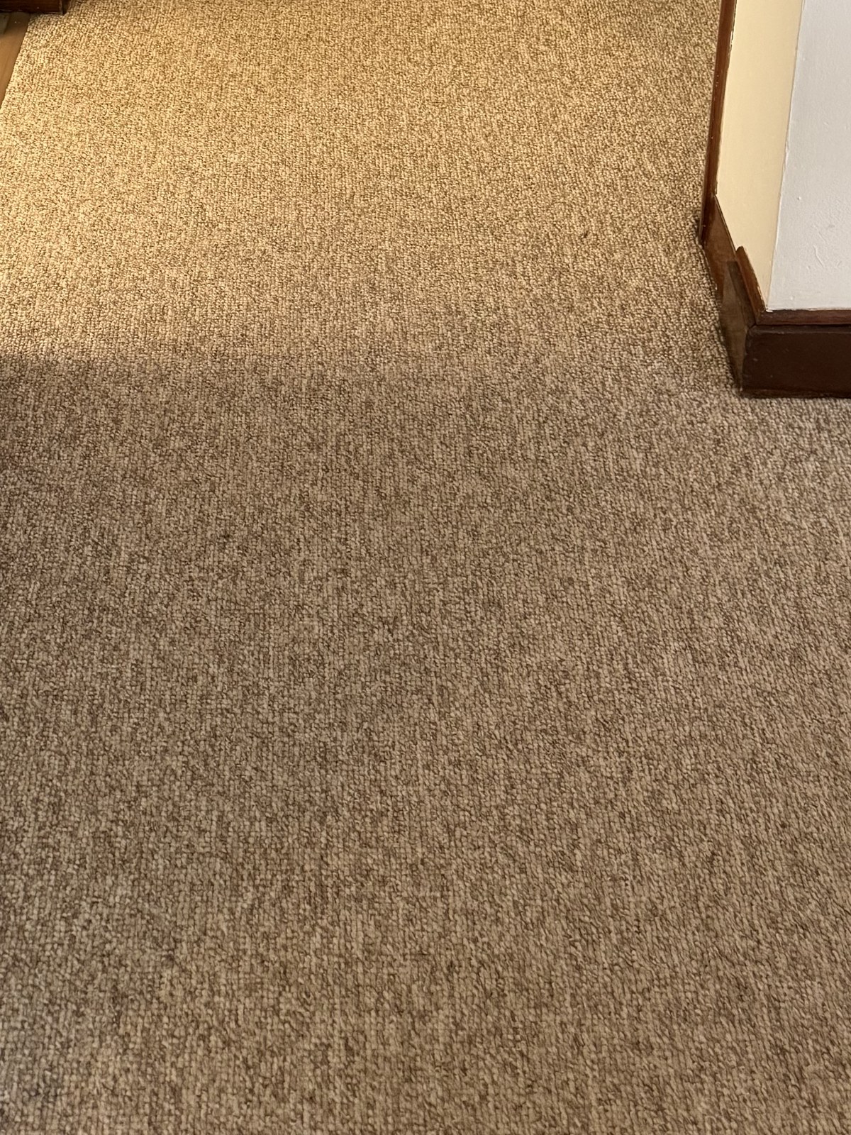 Carpet flooring — an actual Amazing Hardwood Floors project