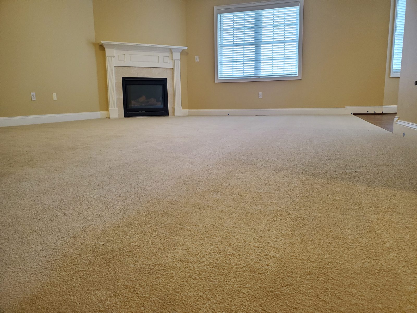 Carpet Tiles United States