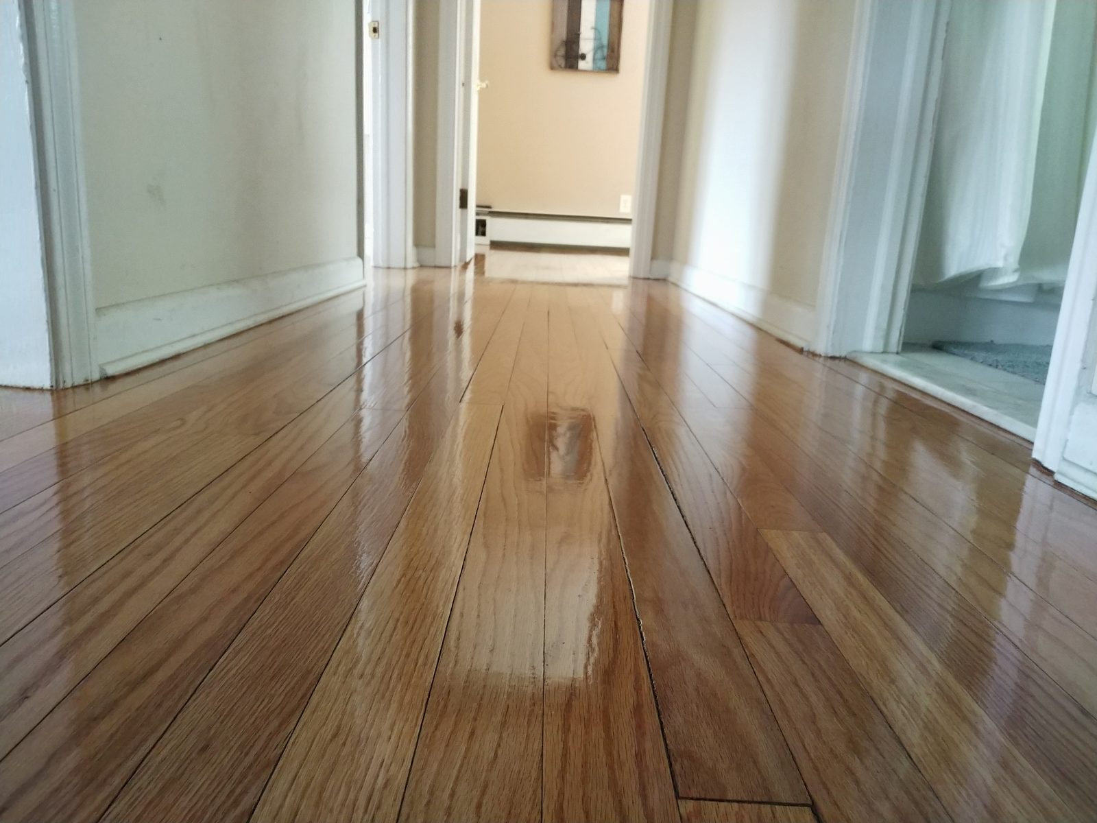 Oil-Based Polyurethane